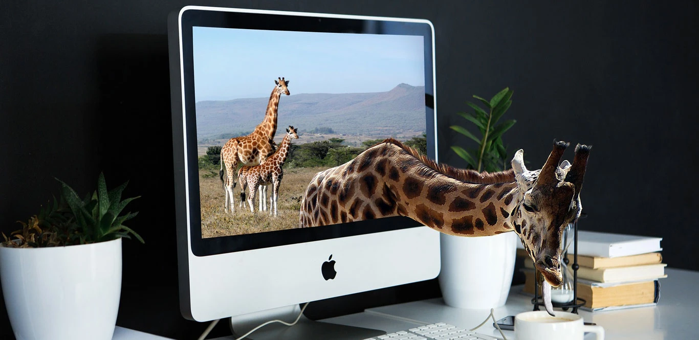 bkg-header-img-1-pixaby